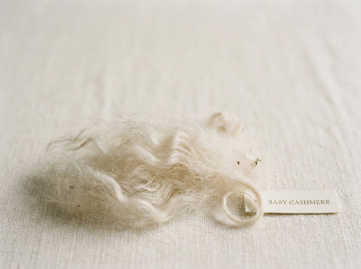 What Is Baby Cashmere? The Rarest Fiber in the World