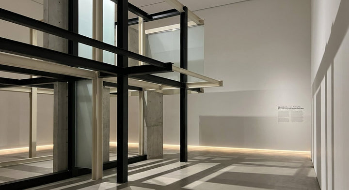 Color as Curated Language: SELVANE's Chromatic Philosophy