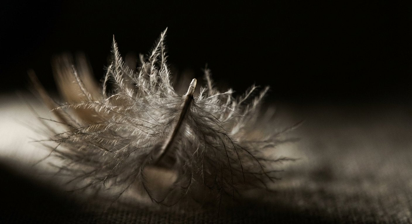 Understanding Down Fill Power: The Science Behind the Warmth-to-Weight Ratio