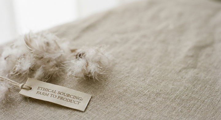 Goose Down Sourcing — Understanding the Supply Chain from Farm to Finished Product