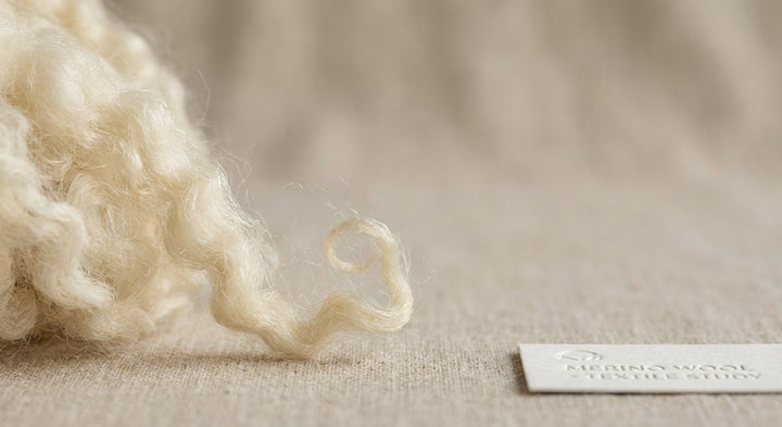 Merino Wool: Why One Breed Dominates the Textile Industry featuring wool and merino — SELVANE knowledge