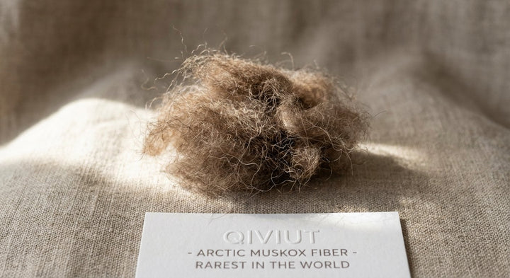 Qiviut — The Rarest Fiber in the World from the Arctic Muskox