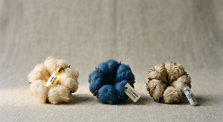 The Future of Cotton: Gene Editing, Colored Cotton, and Waterless Dyeing
