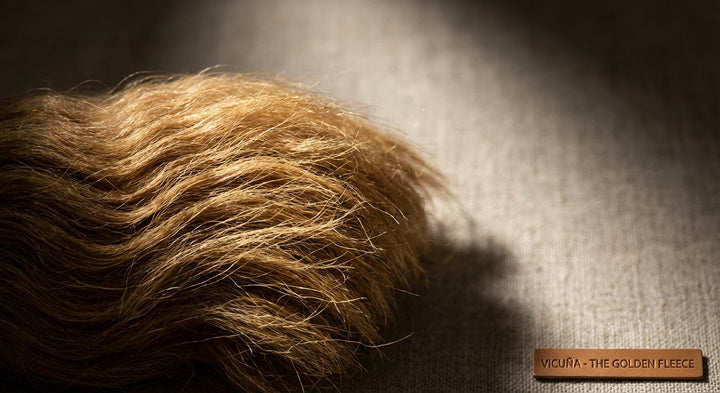 Vicuña: A Deep Dive into the World's Rarest and Most Valuable Fiber
