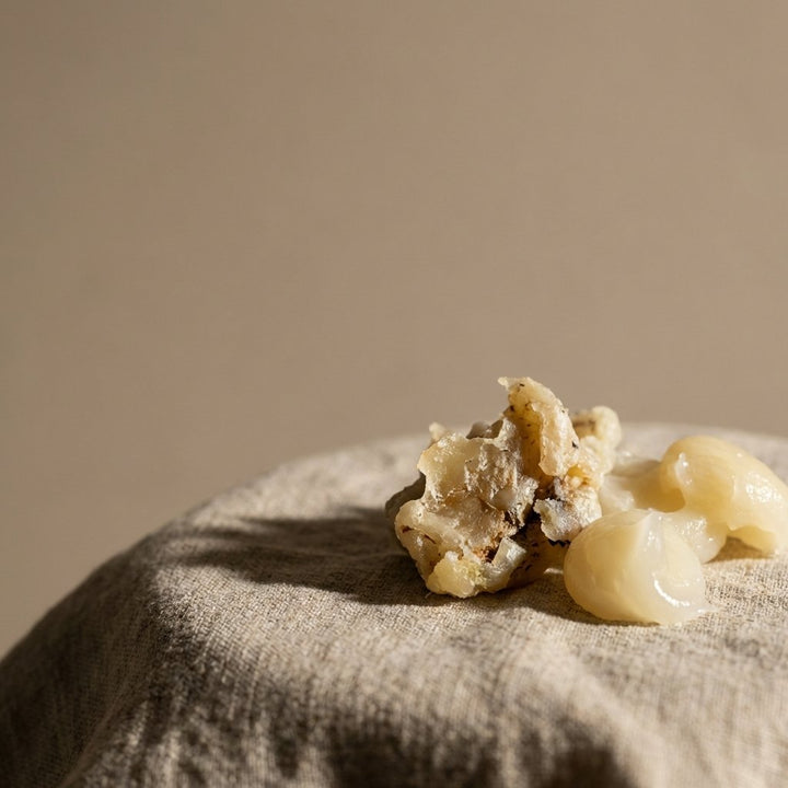 Wool Grease to Lanolin — The Valuable Byproduct of Wool Processing