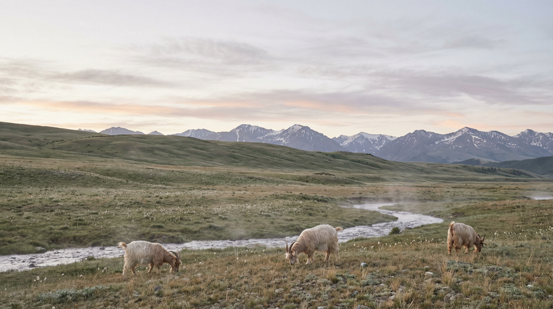 Responsibly sourced sustainable materials