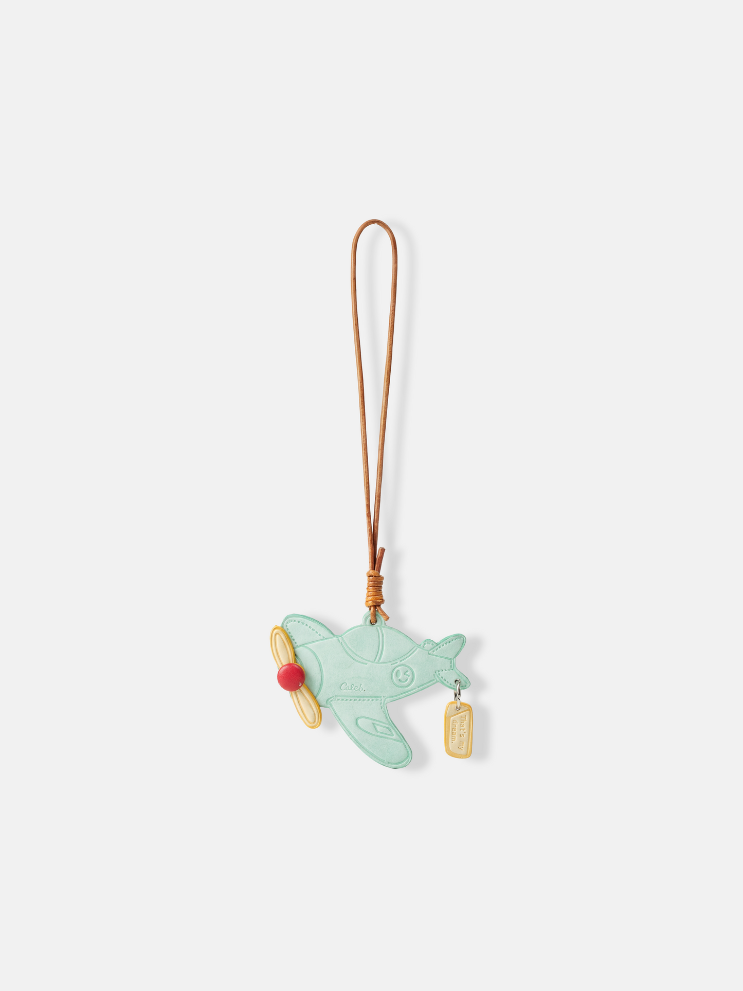 Polished metal Selvane Dream Plane Bag Charm, featuring a sleek aircraft silhouette and 'That's my dream' tag, symbolizing personal journeys.